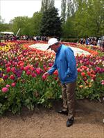 John Inspecting the Tulips at Floriade Canberra